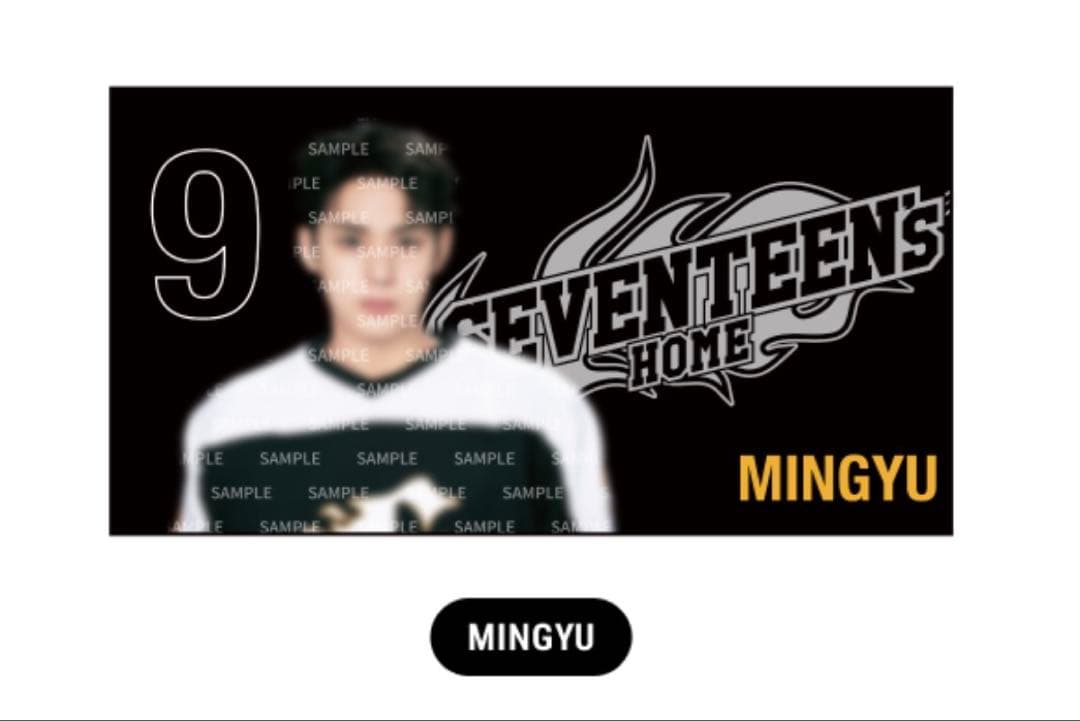 SEVENTEEN  2025 ミニフォトブランケット ミンギュ