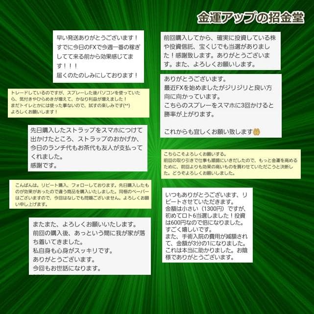 仕事運アップブレスレット『金運アップ ブレスレット（仕事運特化）』／360