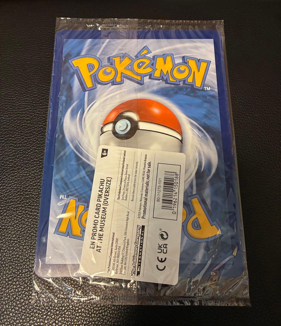Pikachu at the Museum ピカチュウ ロンドン自然史博物館24