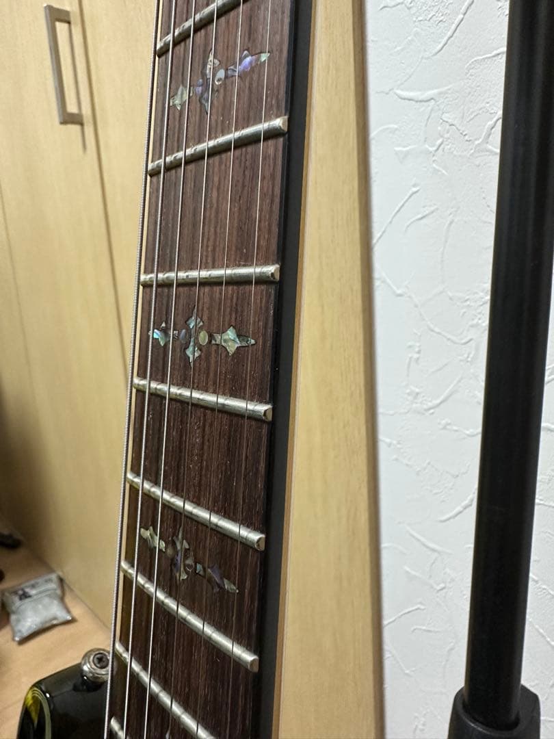 ギター SCHECTER Diamond series DAMIEN ELITE