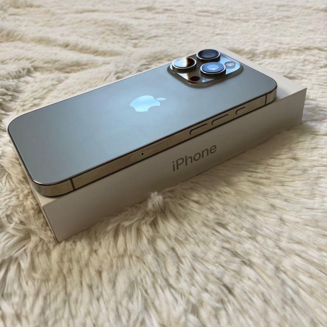 【2/30販売終了】iPhone 16 Pro 256GB 【即発送】