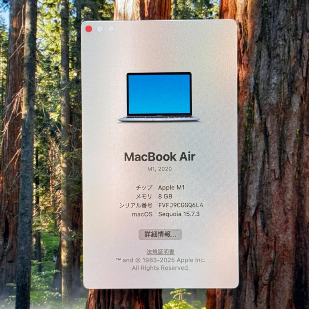 MacBook本体 P115 MacBook Air M1 13inch 8GB 256GB