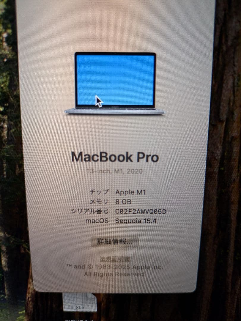 MacBook本体 Apple MacBook Pro (M1, 2020)