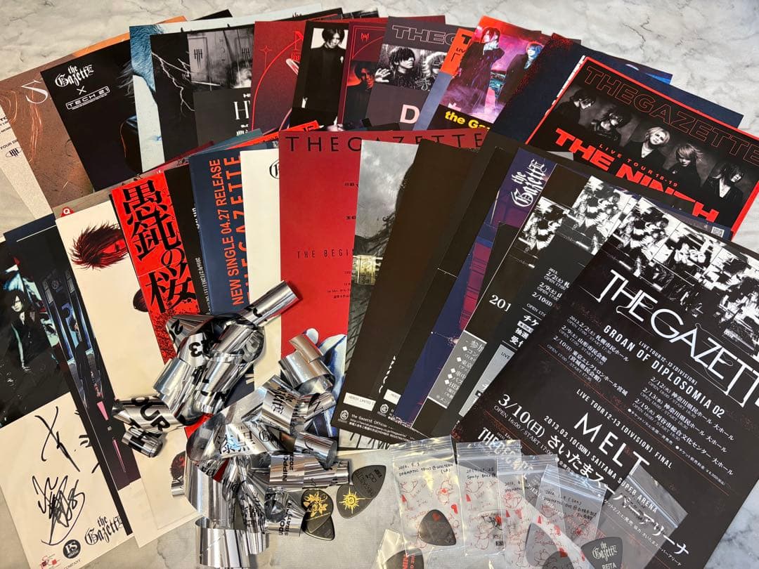 the GazettE / フライヤー・ピック・銀テセット