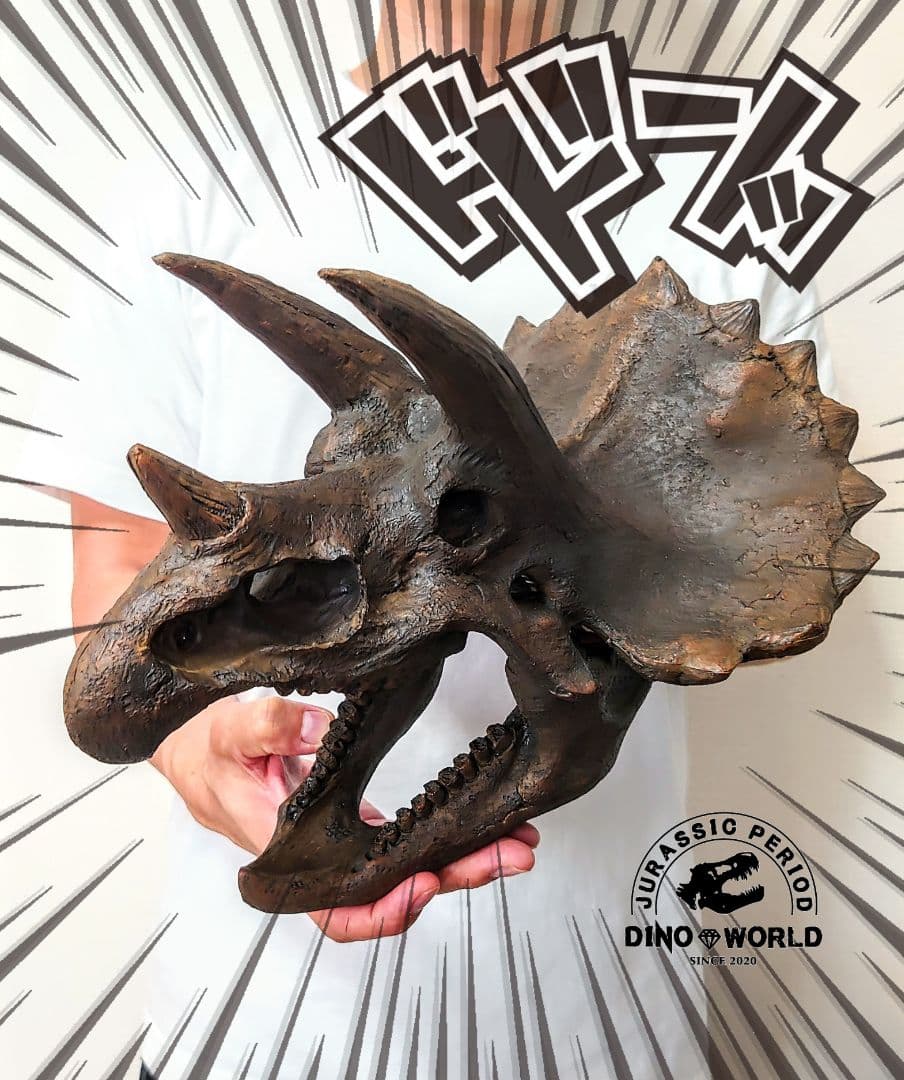 【2個セット】外箱なし ティラノサウルス トリケラトプス 頭骨 化石レプリカ