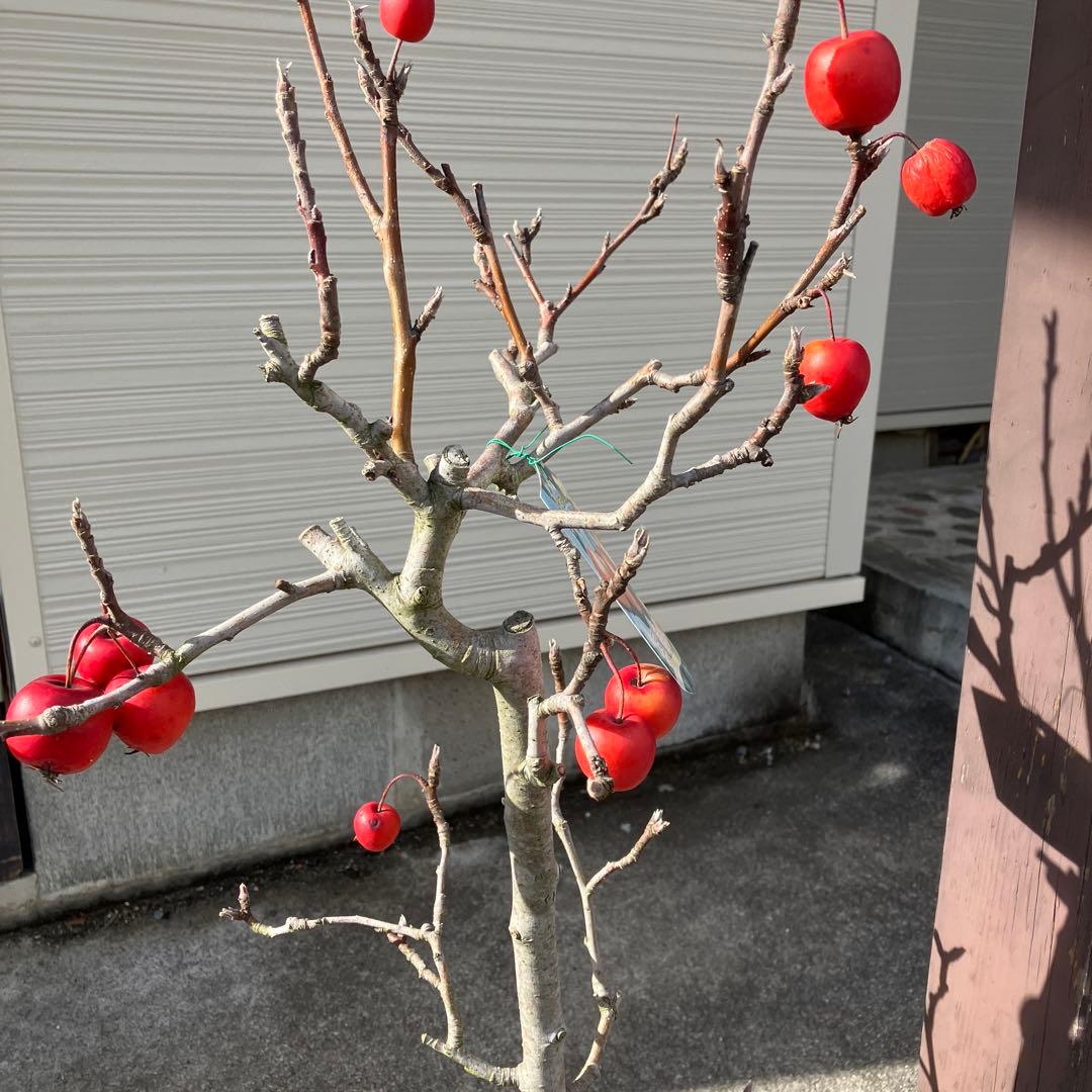 悠くん