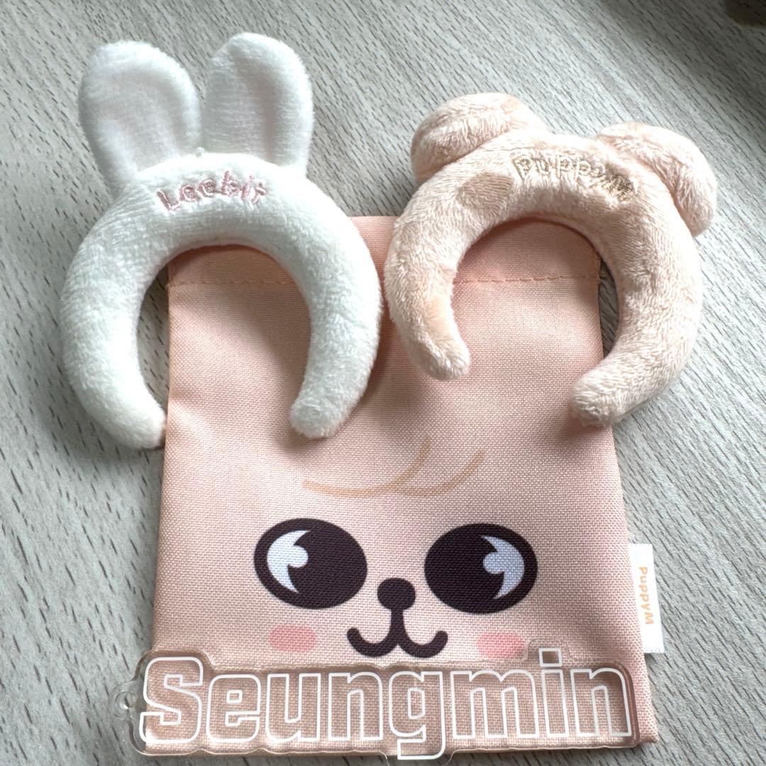 straykids seungmin puppym セット