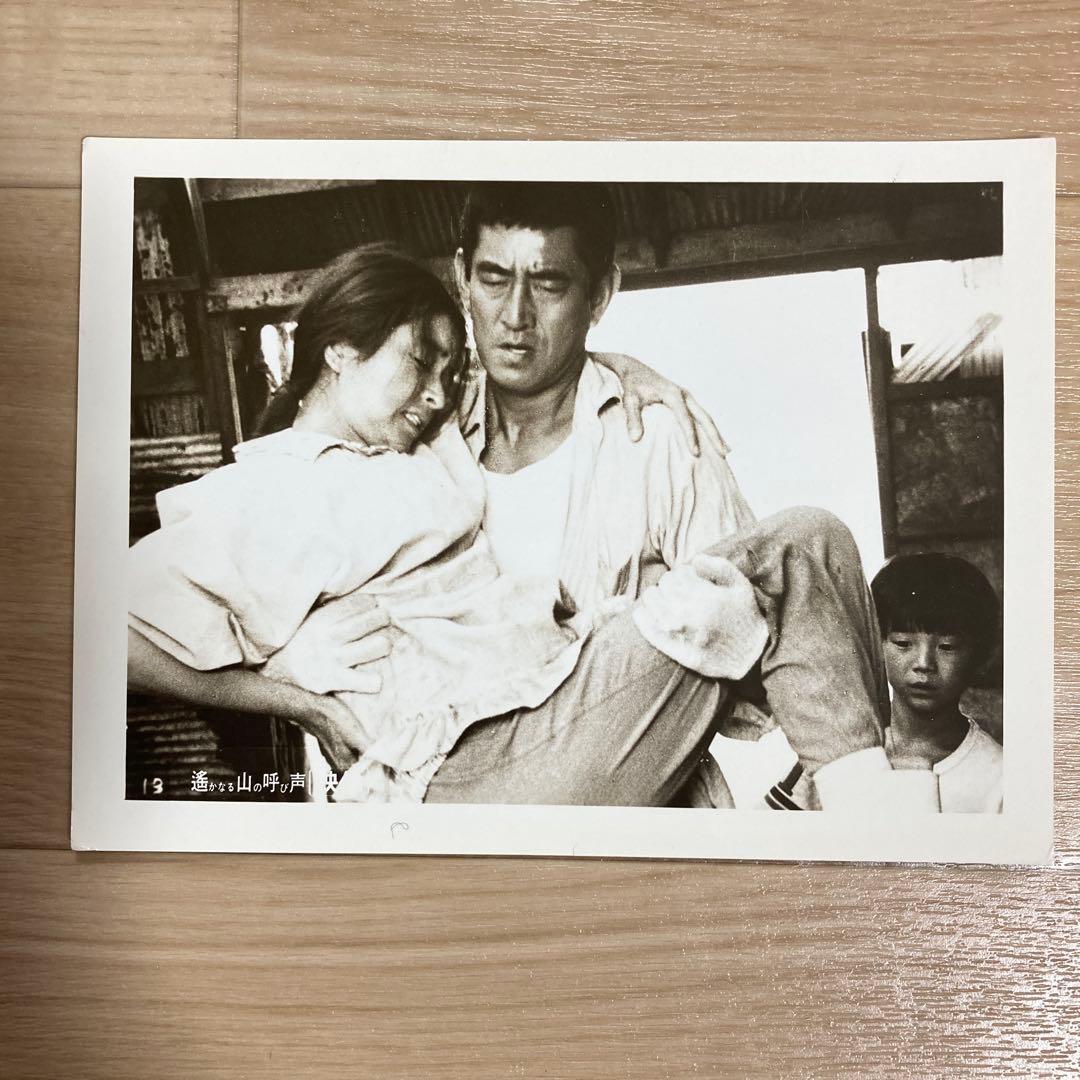 1980年山田洋次監督映画『遙かなる山の呼び声』　スチール製　高倉健　320