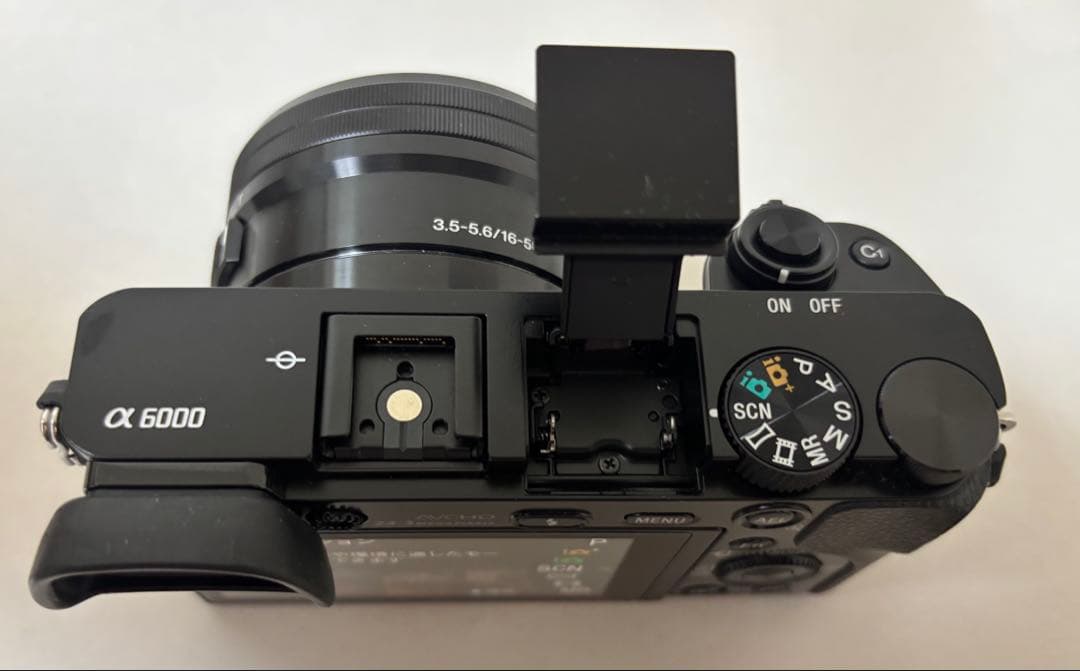SONY α6000 標準レンズ付 美品 シャッター723回
