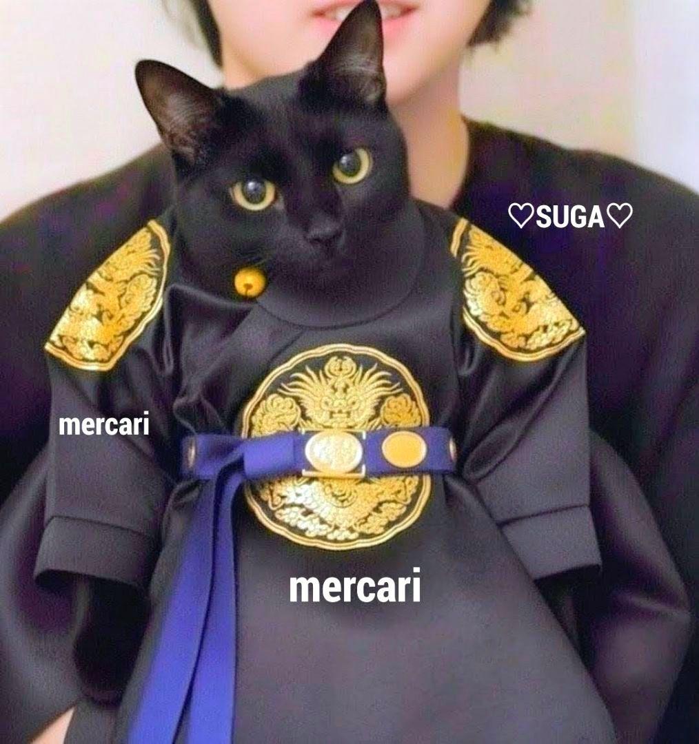 BTS ぬいぐるみ 10cm SUGA AgustD ユンギ テテ ジン ジミ