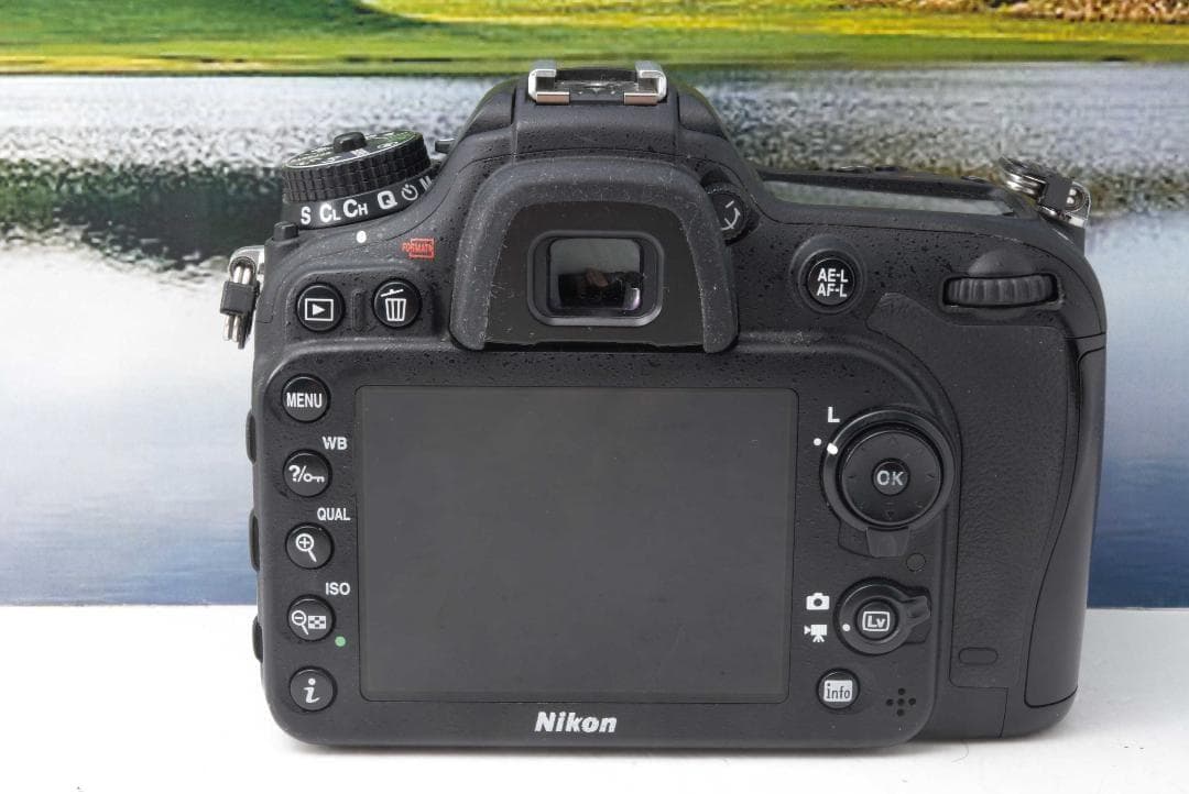 Nikon D7200 高速AF &高速連写　スマホ転送 一眼レフ　ニコン