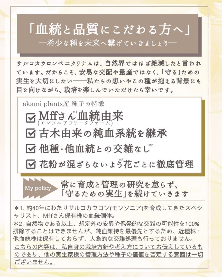 サルコカウロン ペニクリナム 自家採取 種子 5粒 掛け合わせ5通り