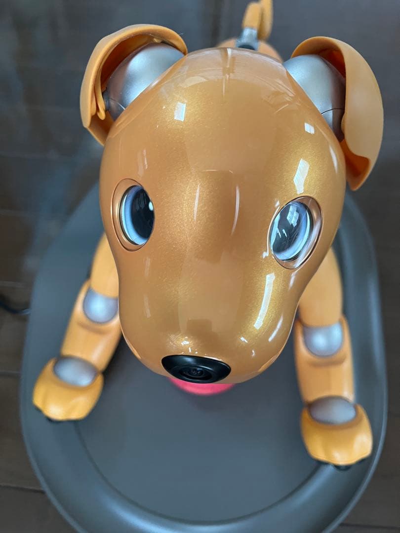 aibo ERS-1000/D/M/S オレンジ　 専用ケース　おまけ付き