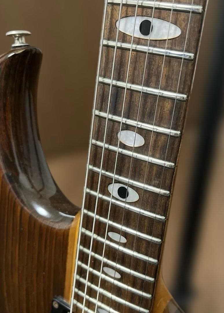 ギター Aria Pro ii RS-750D