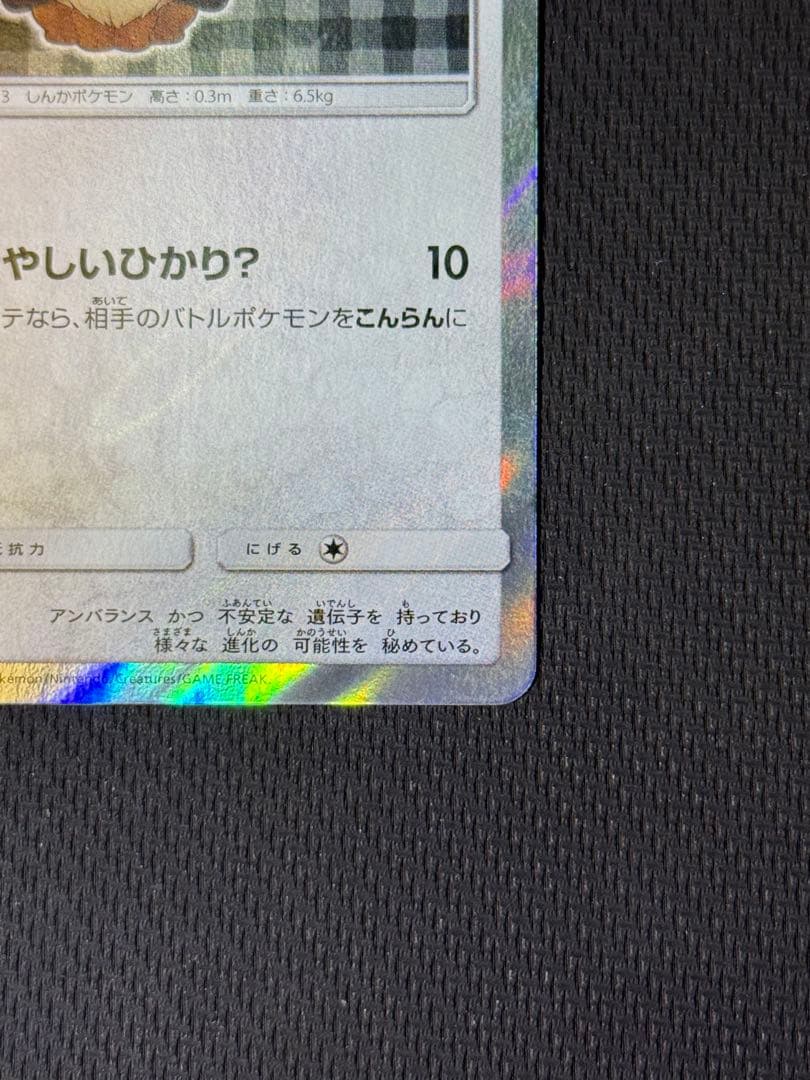ポンチョを着たイーブイ 141/SM-P
