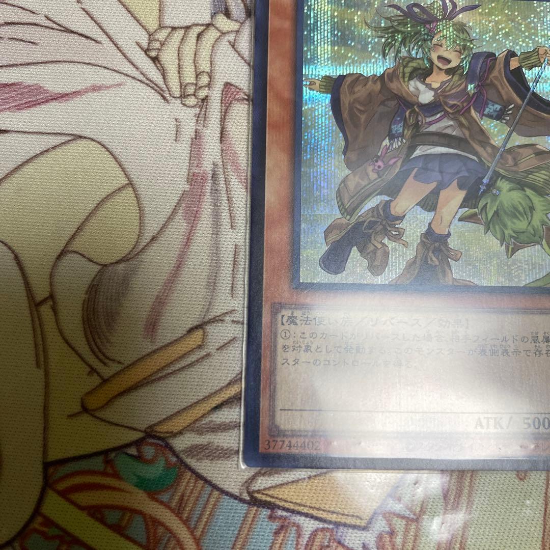 遊戯王OCG 風霊使いウィン 絵違い