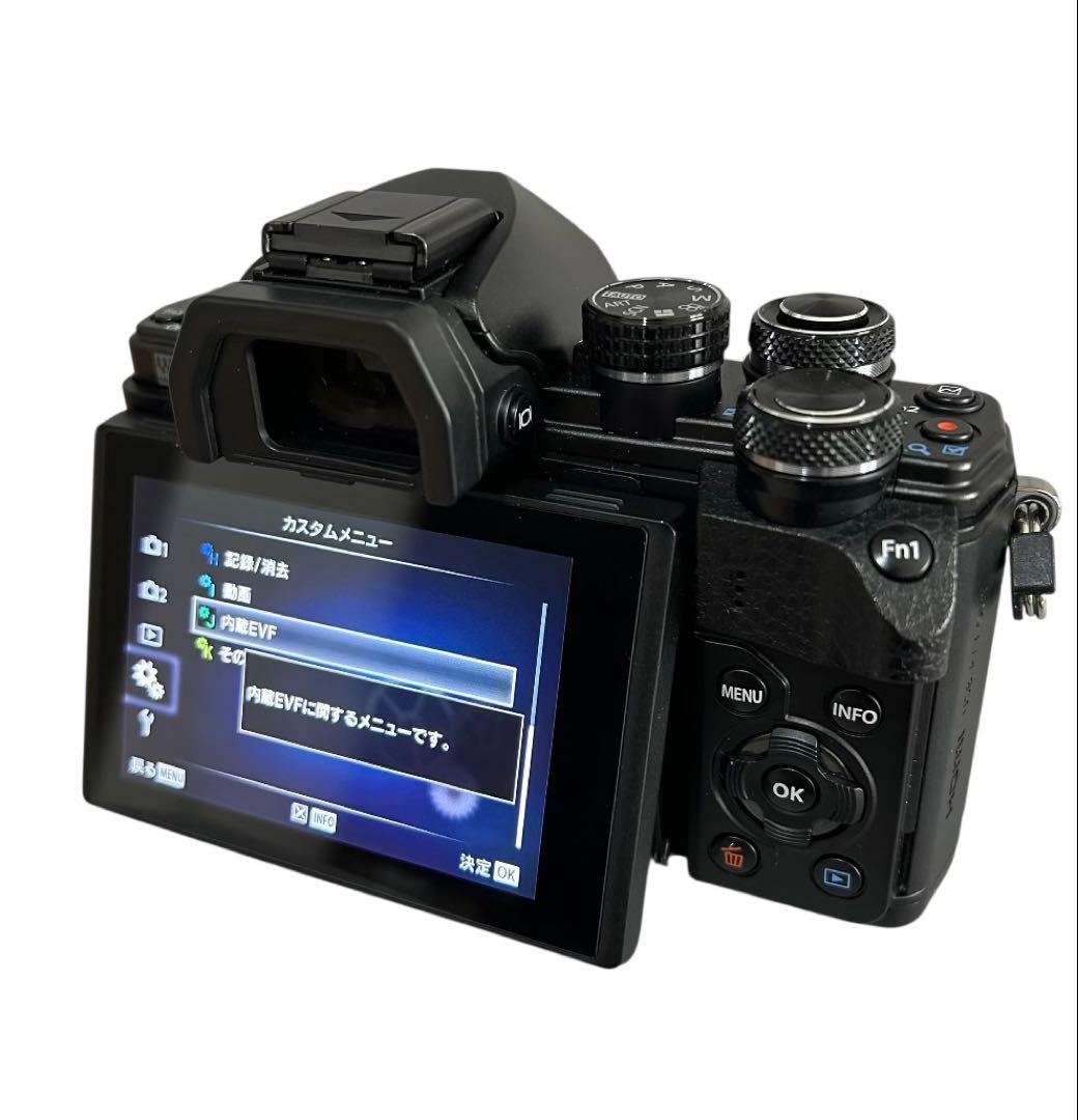 【動作好調✨】OLYMPUS OM-D E-M10 Mark II