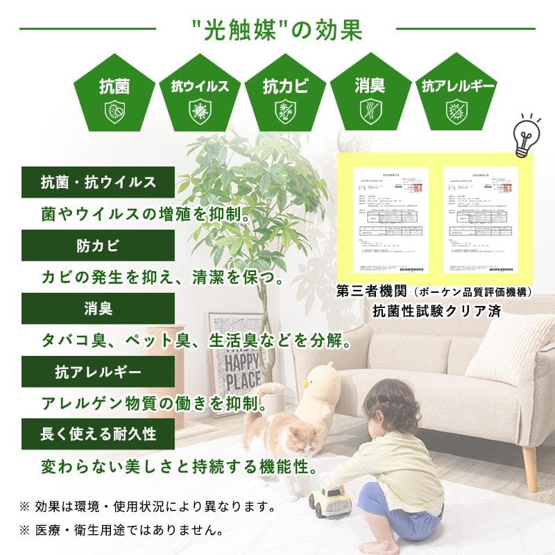 【新品同様】大型 リアル 光触媒 フェイクグリーン オリーブ 高さ約195cm