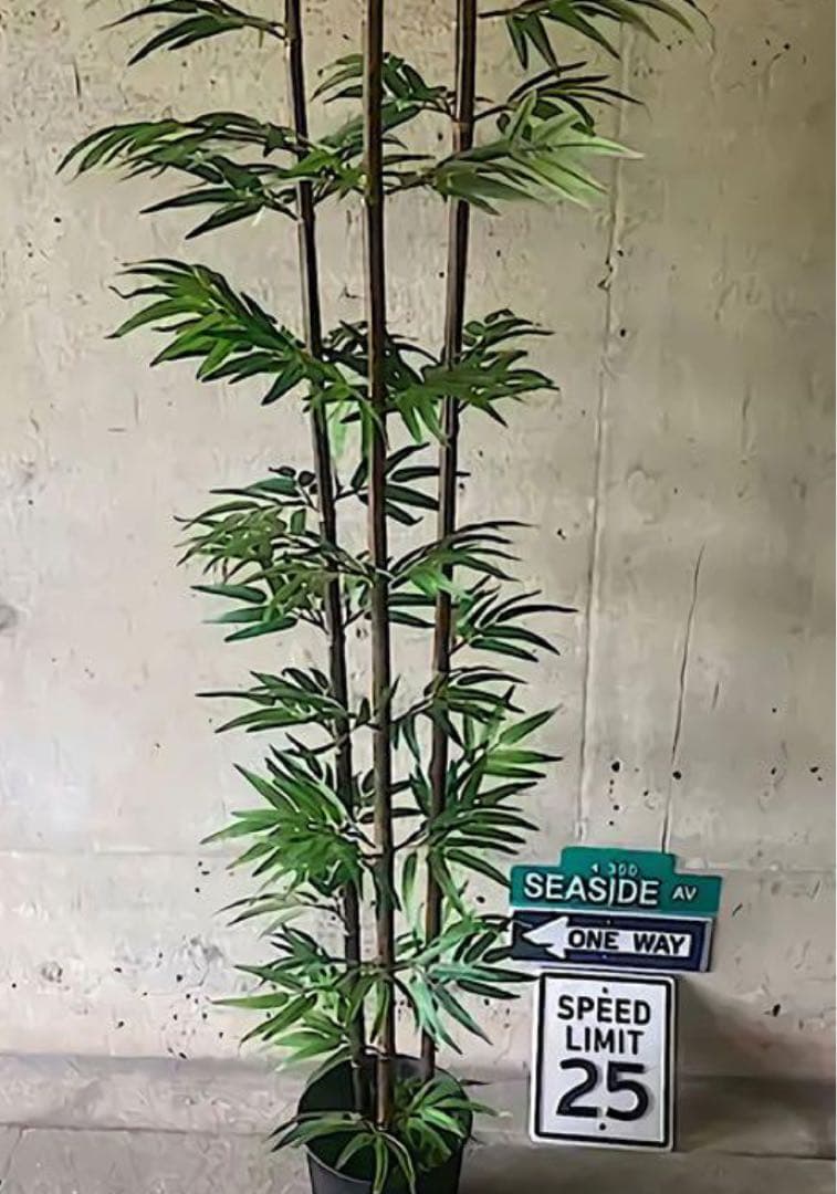 光触媒　人工観葉植物　ウォールグリーン　フェイクグリーン　黒竹@ad