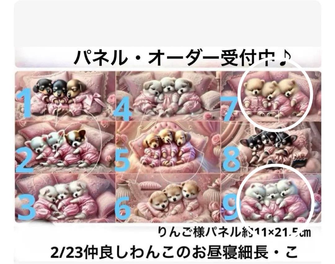 きゃんべる