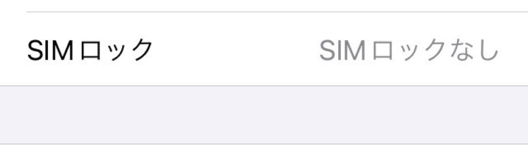 iPhone SE 第1世代 128GB スペースグレイ 最大容量93%