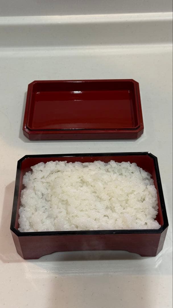 【FLKA様】　【4個セット】赤い漆器 重箱 蓋付き（鰻の長焼用）新品•未使用
