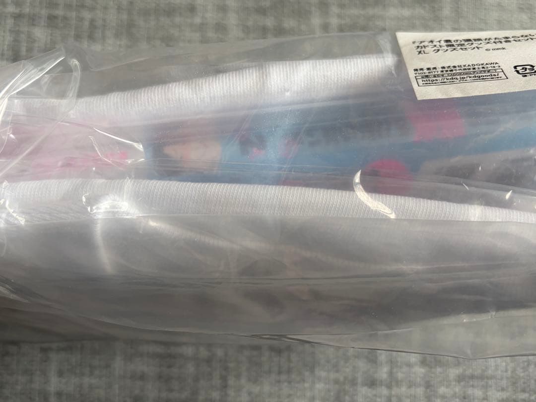 アオイ君の猥談がらたまらない 2巻 カドスト限定グッズ付きセットXLサイズ