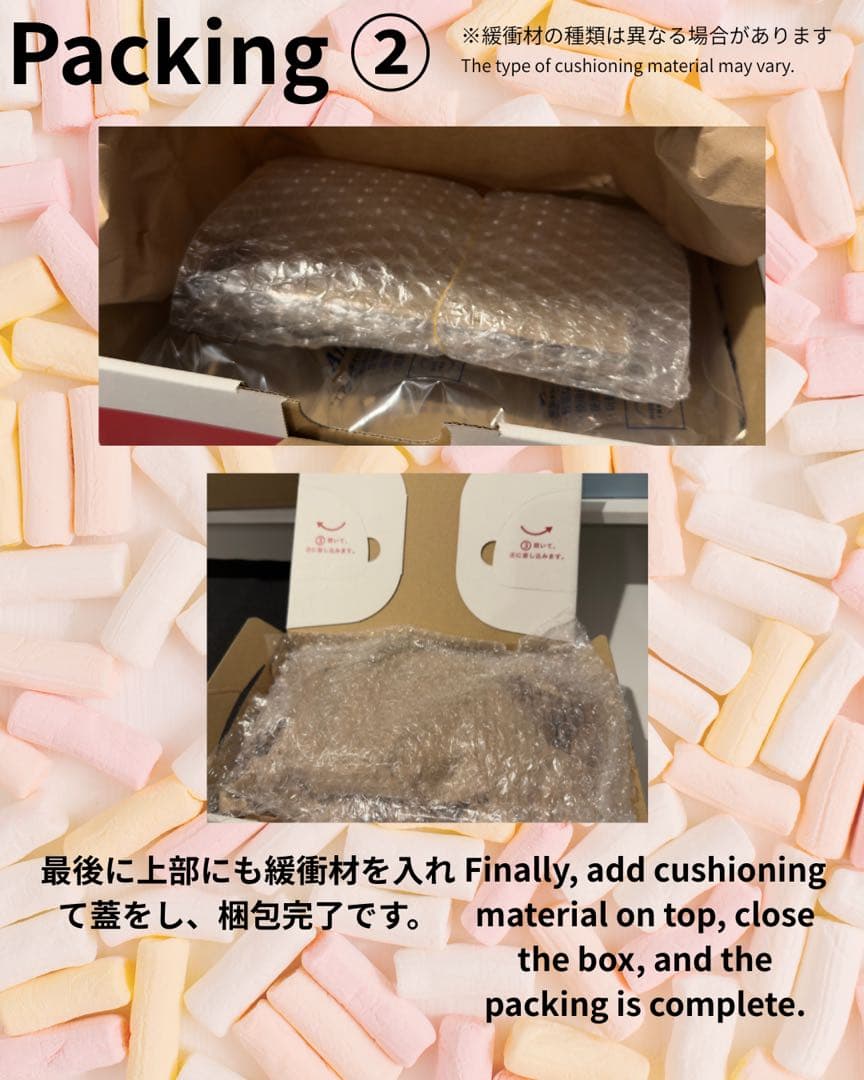PSA10 フシギソウ AR 065/063 M1L