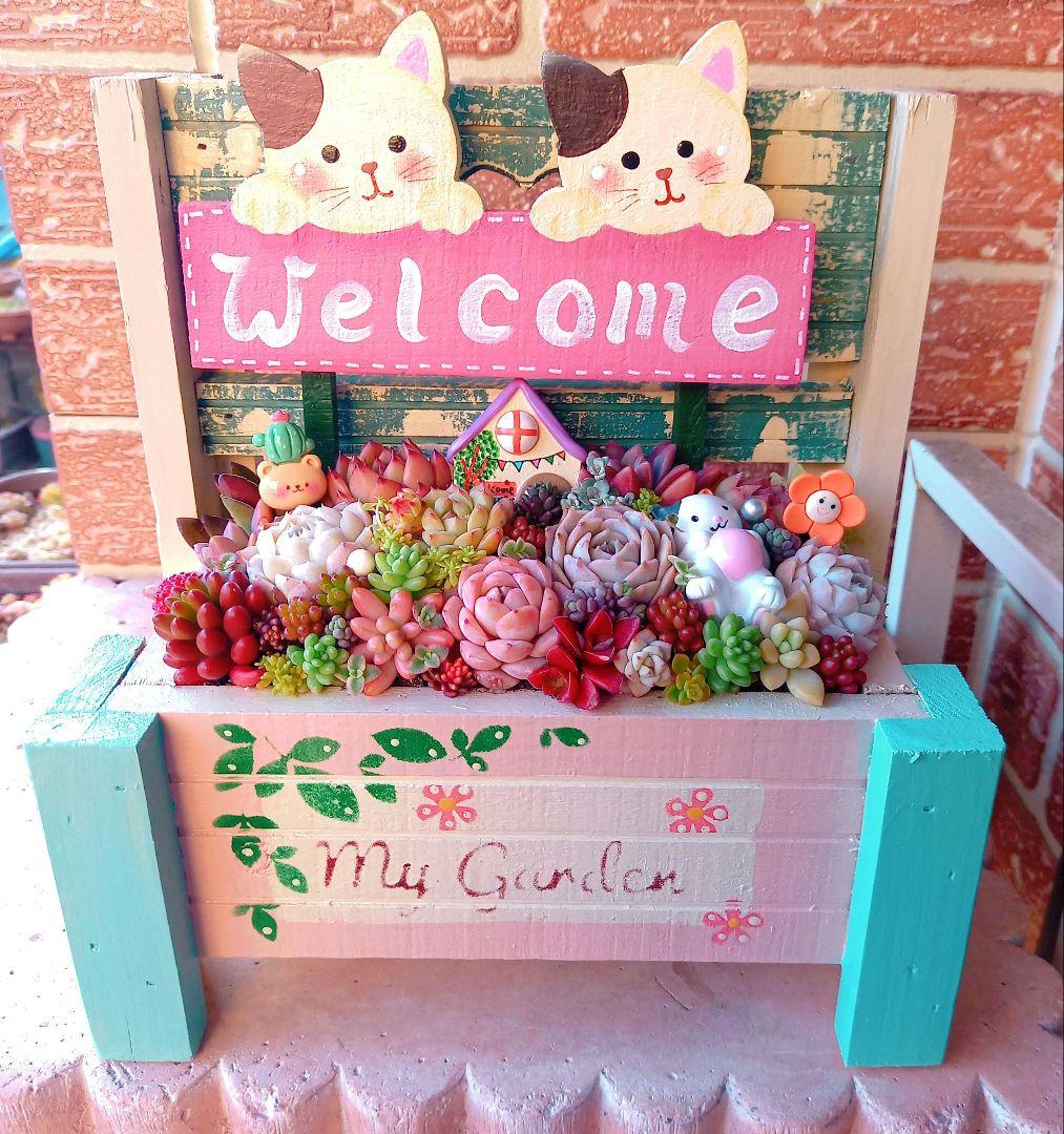❤️多肉植物❤️そのまま飾れる寄せ植え❤️仲良し三毛猫ちゃん~❤️