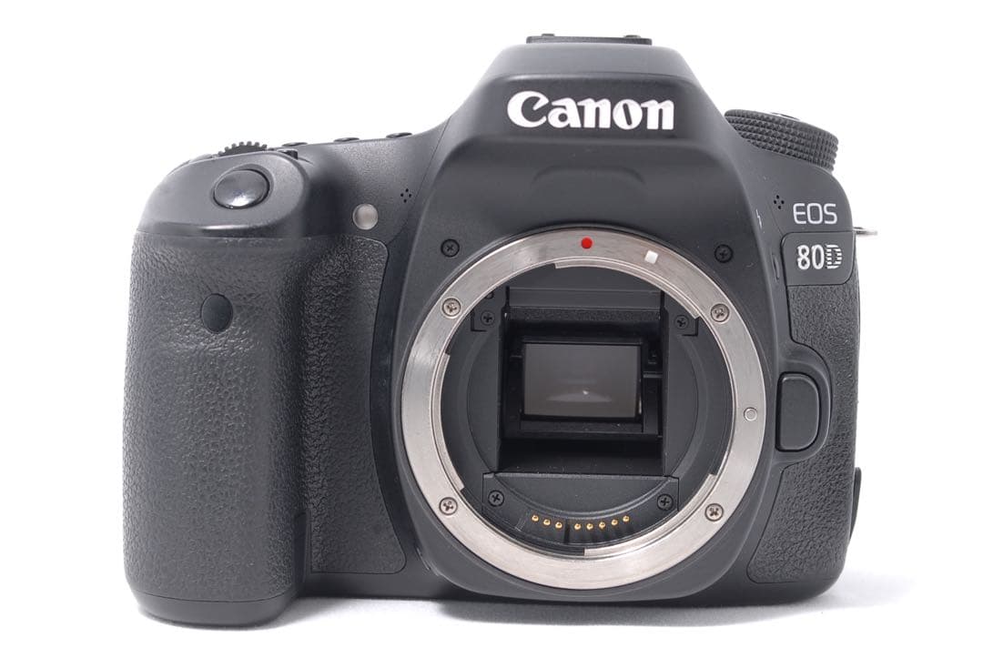 本格派✨Canon EOS 80D★手ぶれ補正レンズセット★Wi-Fi＆自撮り