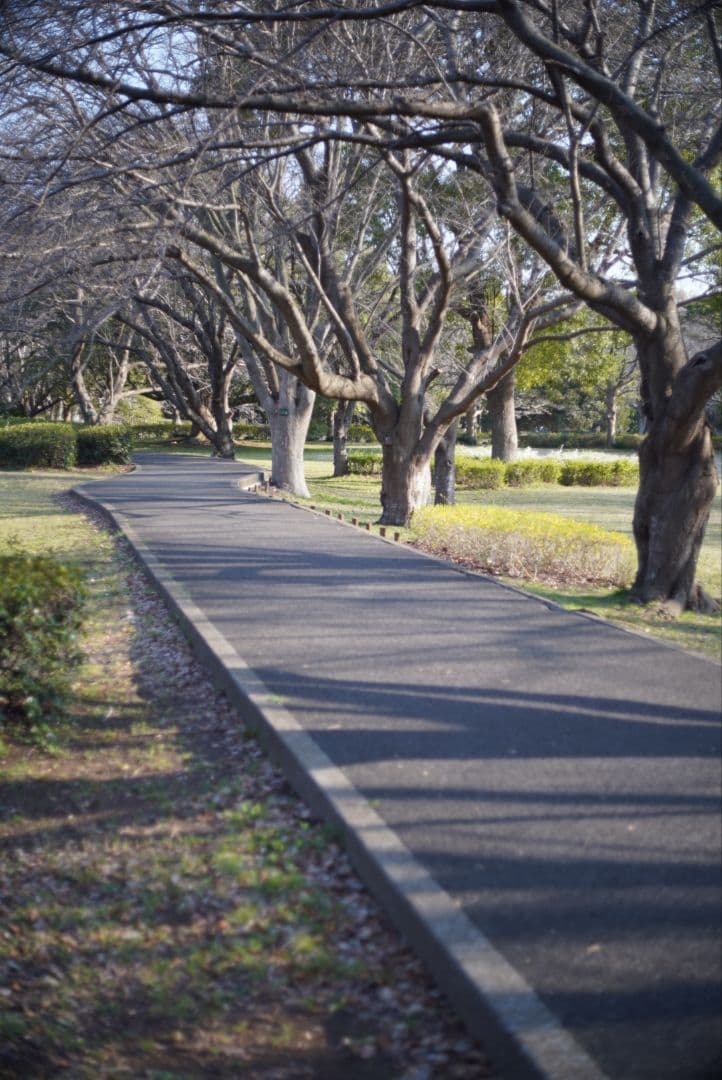 【動作確認済】RICOH XR RIKENON 50mm f2 富岡光学製