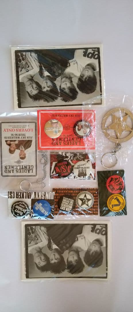 JUN SKY WALKER（S）ジュンスカ コンサート　グッズ