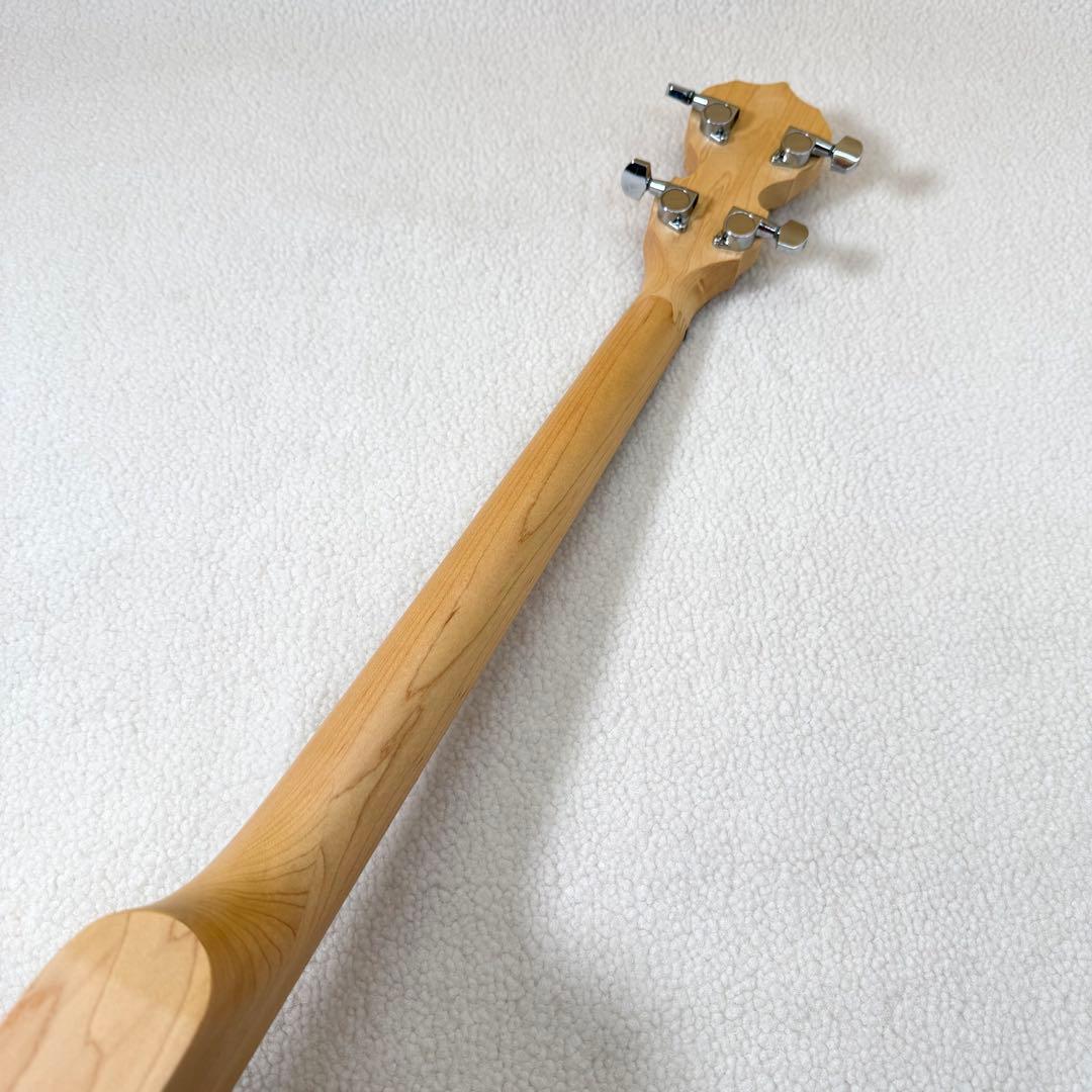 Deering Goodtime G-19 バンジョー　4弦　美品　アメリカ