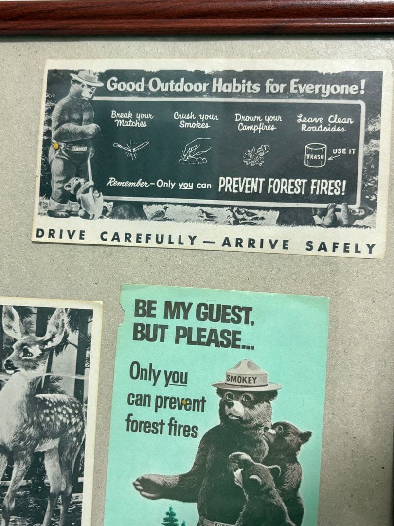1960年代 Smokey The Bear バンク　& フライヤー額装