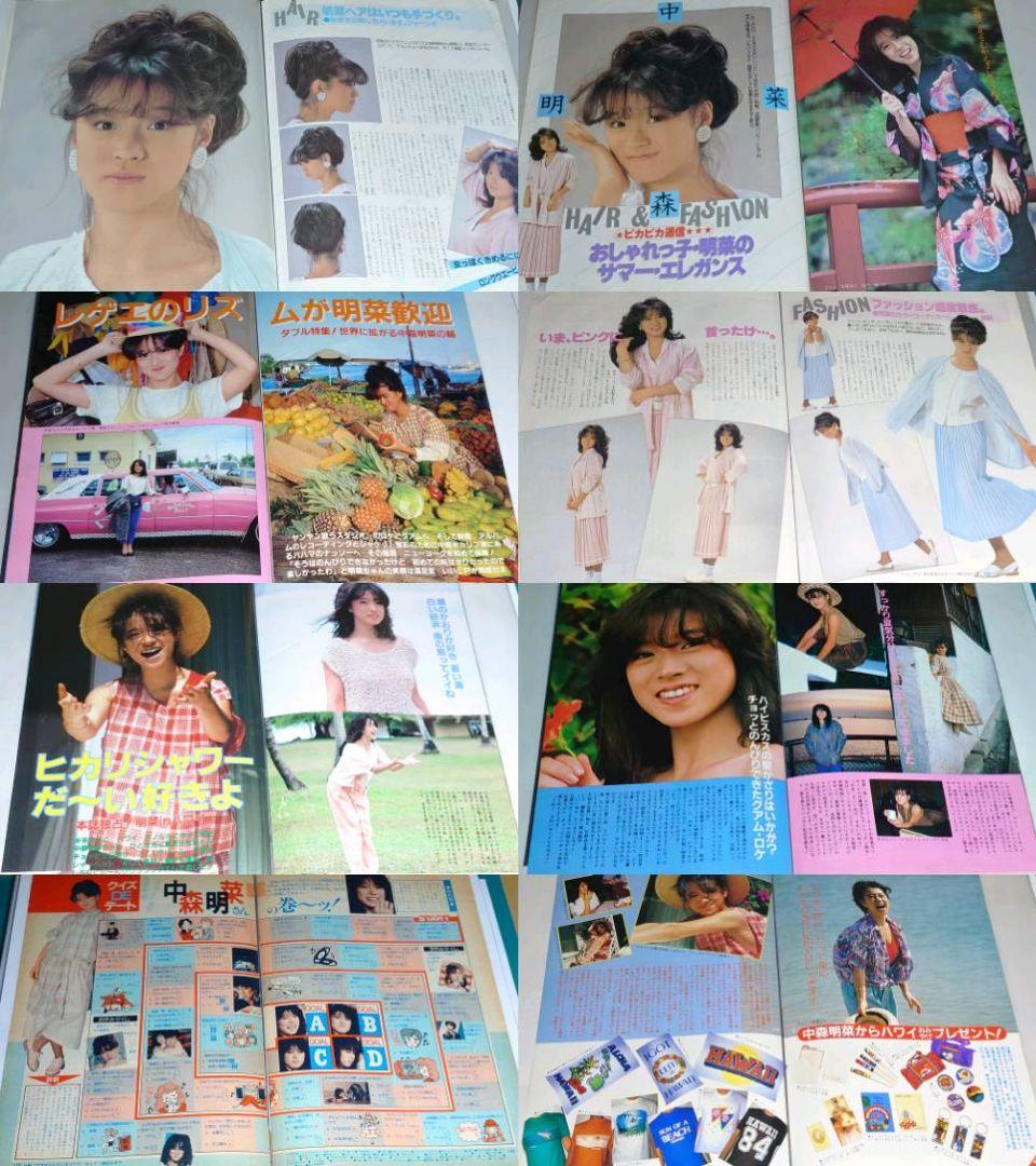 中森明菜 1982年〜1987年 レア　大量　切り抜き　ファイル　2冊　120P