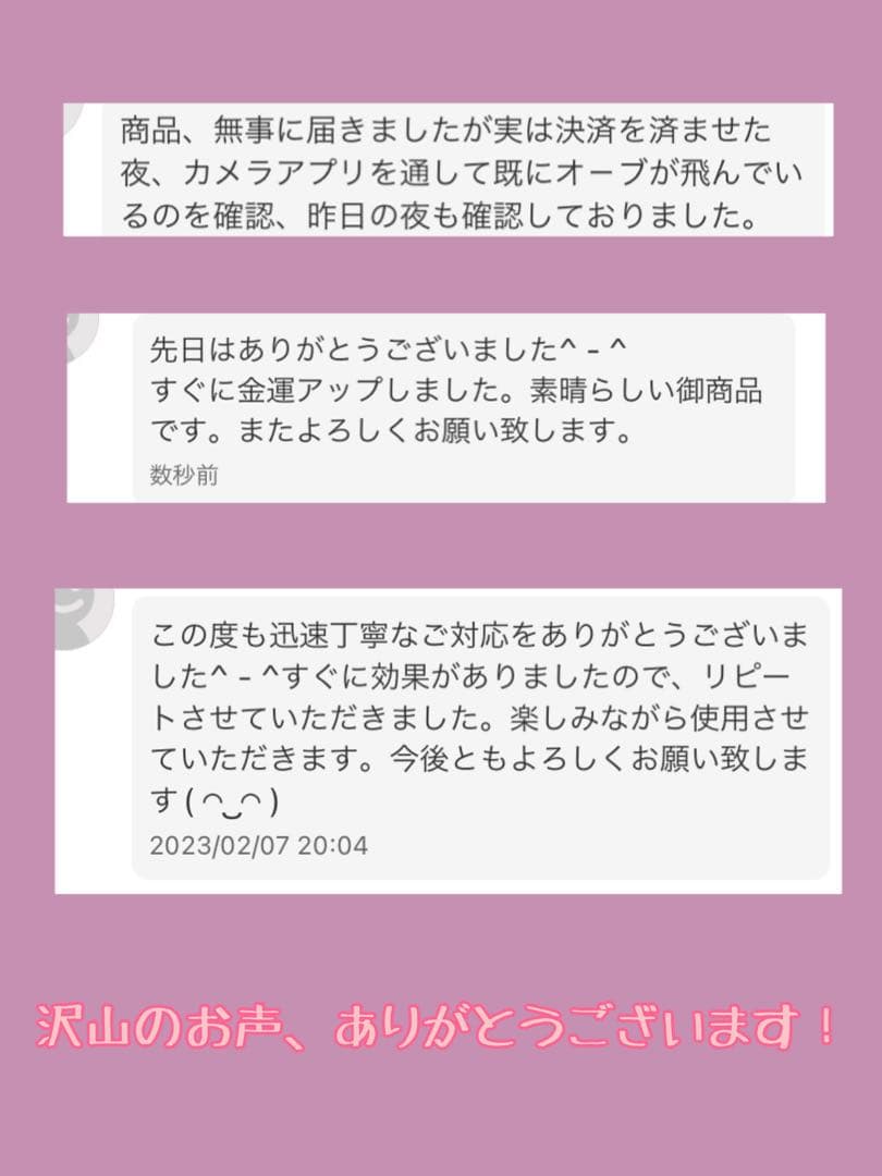 御縁のある方だけ目に留まる 数千年の龍神様が宿る多宝ブレスレット