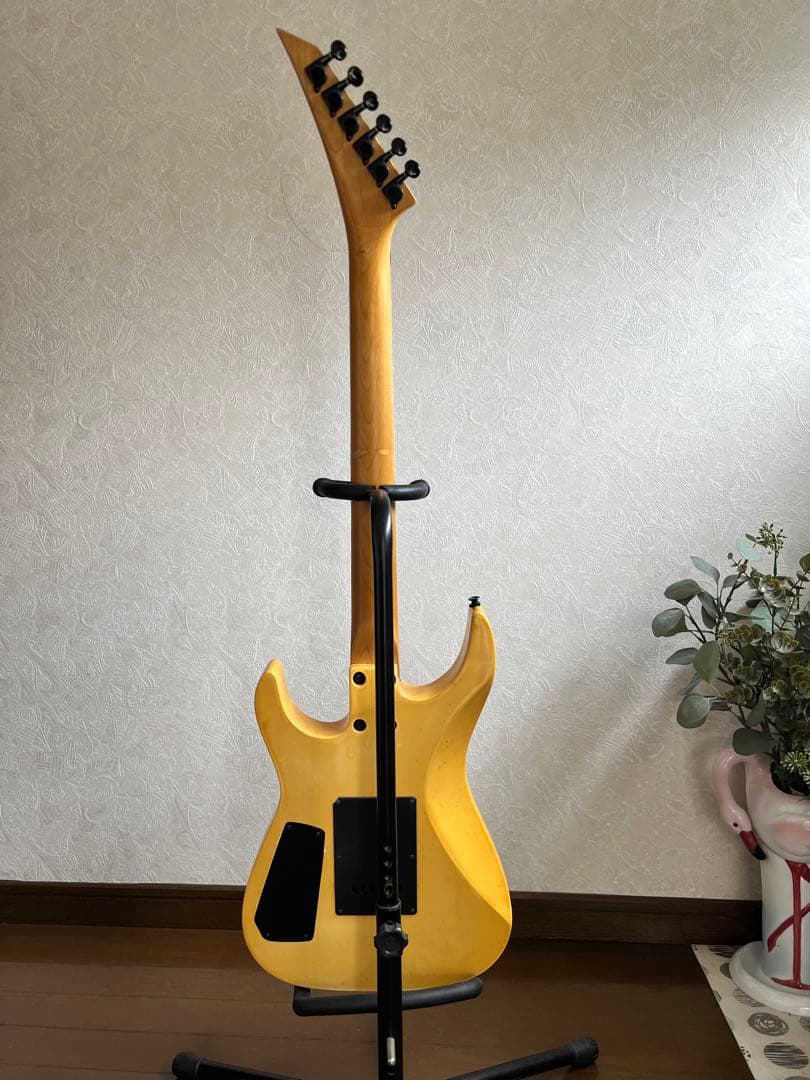 STRAINER JS SERIES エレキギター　音はでました