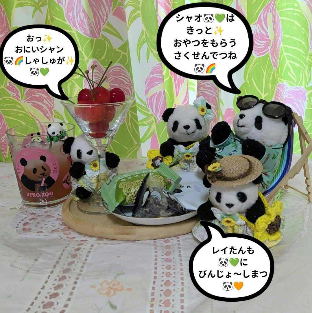 シャンシャン様♡の２歳シャンちゃん♡シャオたんレイたんBirthdayふるせっと