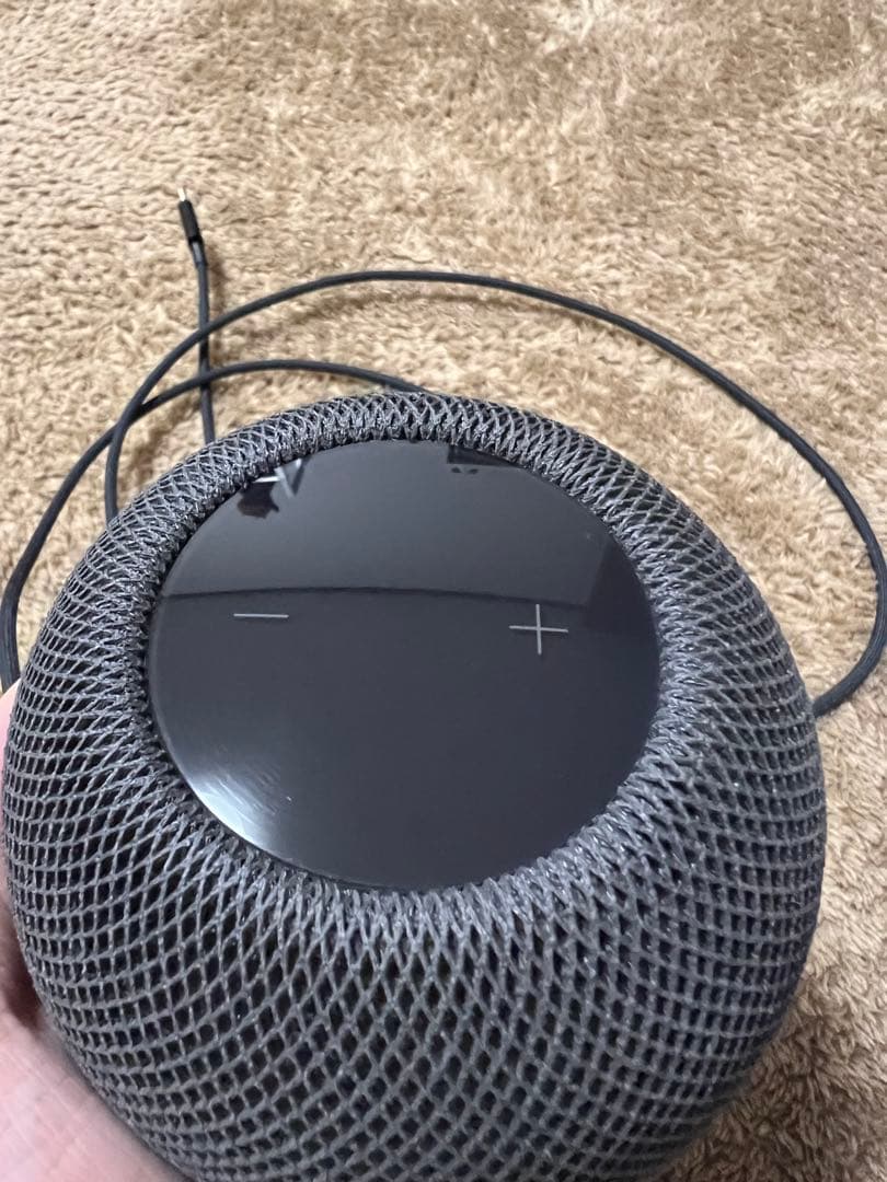 Apple Pod mini スペースグレー最終値下げ