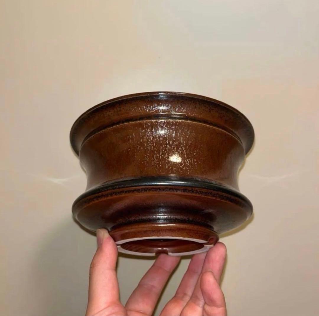 XL SIZE 盆栽 作家鉢 陶器 真柏 糸魚川真柏 皐月 五葉松 黒松 長寿梅