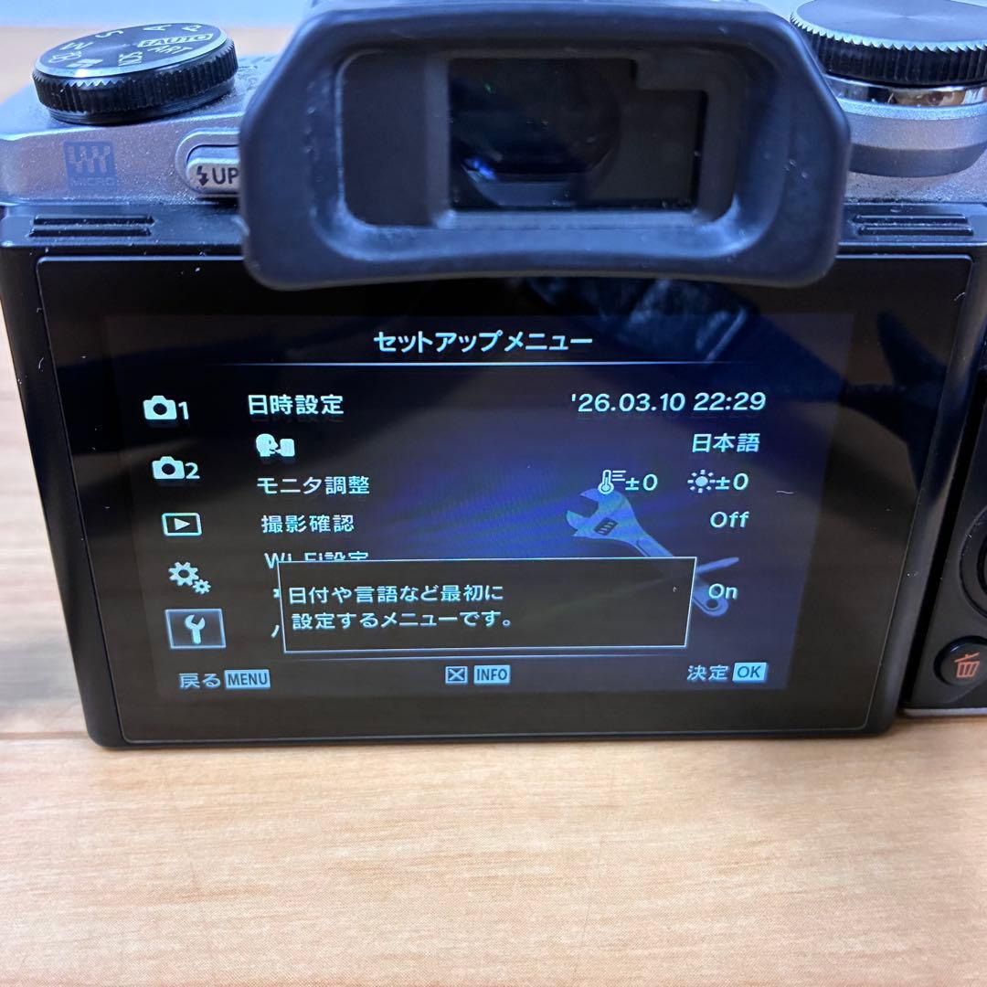 OLYMPUS OM-D E-M10 ミラーレス一眼カメラ ボディ シルバー