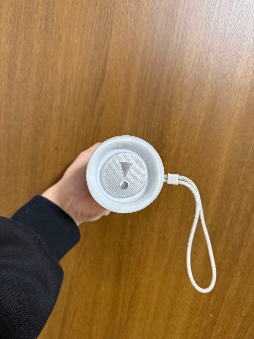 JBL Flip 6 ホワイト