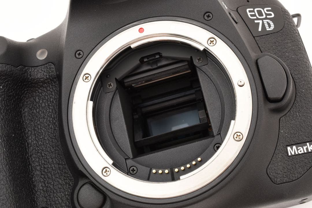 一眼レフカメラ Canon EOS 7D MarkⅡ標準&望遠ダブルレンズセット