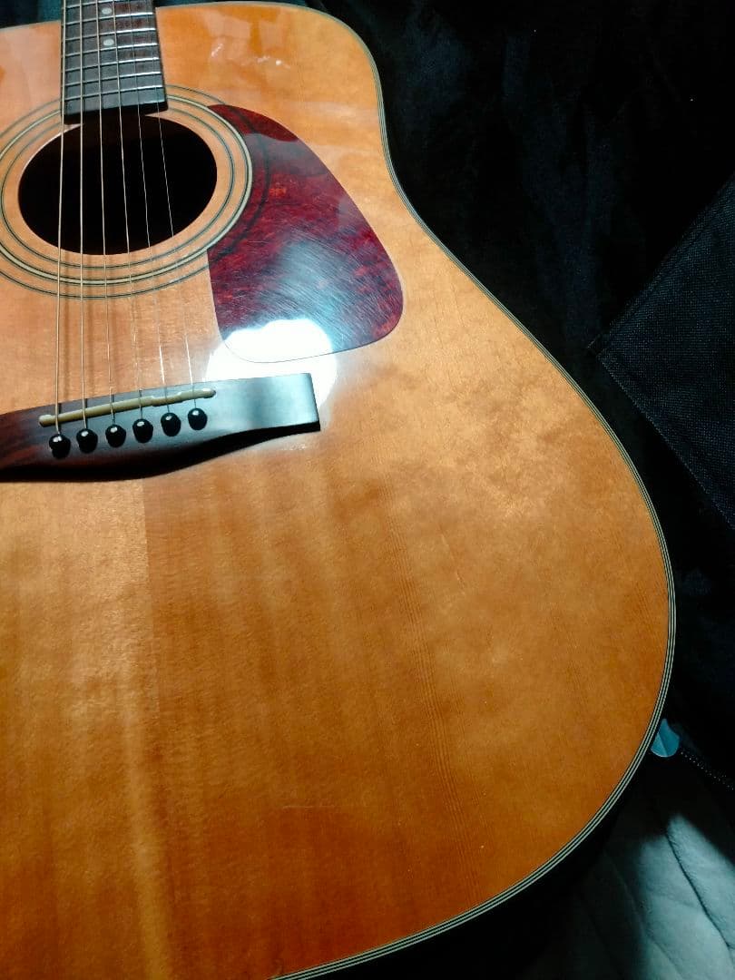 Fender トップ単 韓国製 DG21S ドレッドノート