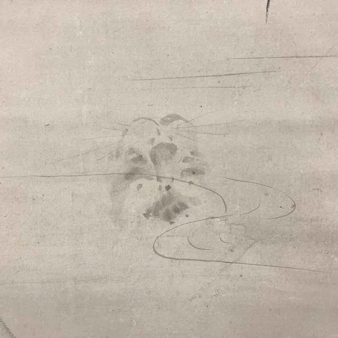 掛軸 狩野探信 虎 水面 水墨画 とら
